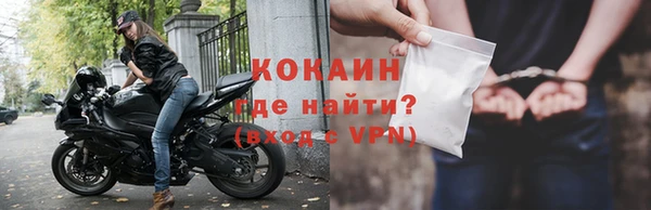 спайс Данков
