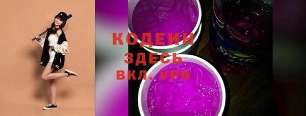 метадон Няндома