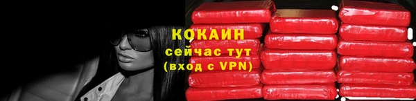 метадон Няндома